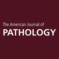 american_journal_pathology