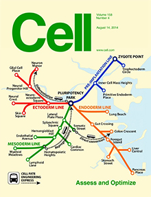Cell_Aug14