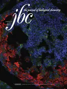 jbc_Dec2012