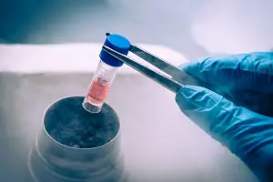 stem