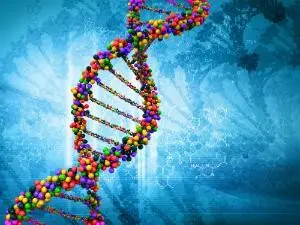 DNA888