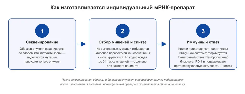 intismeran-process.jpg