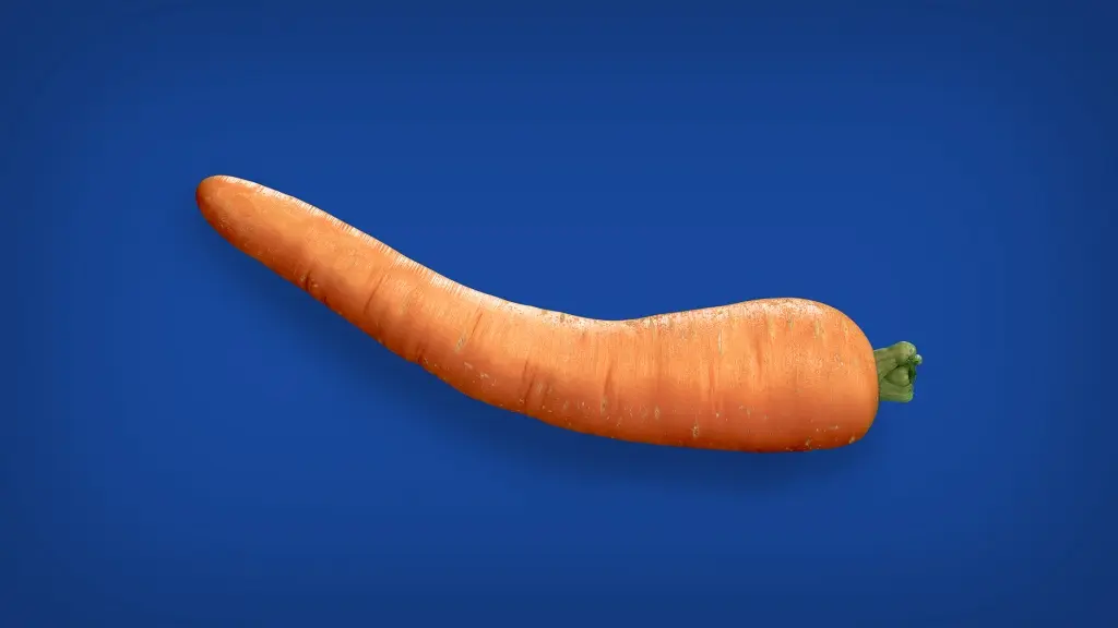 bended carrort.jpg