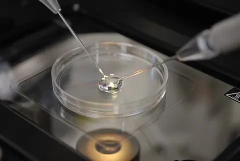 genetic-testing-at-hadassah-page.jpg
