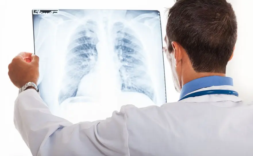 lungs.jpg