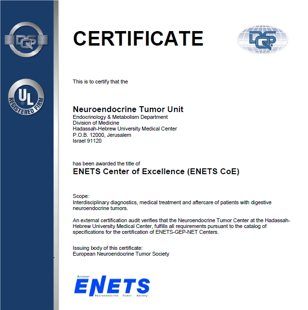 enets (2).png