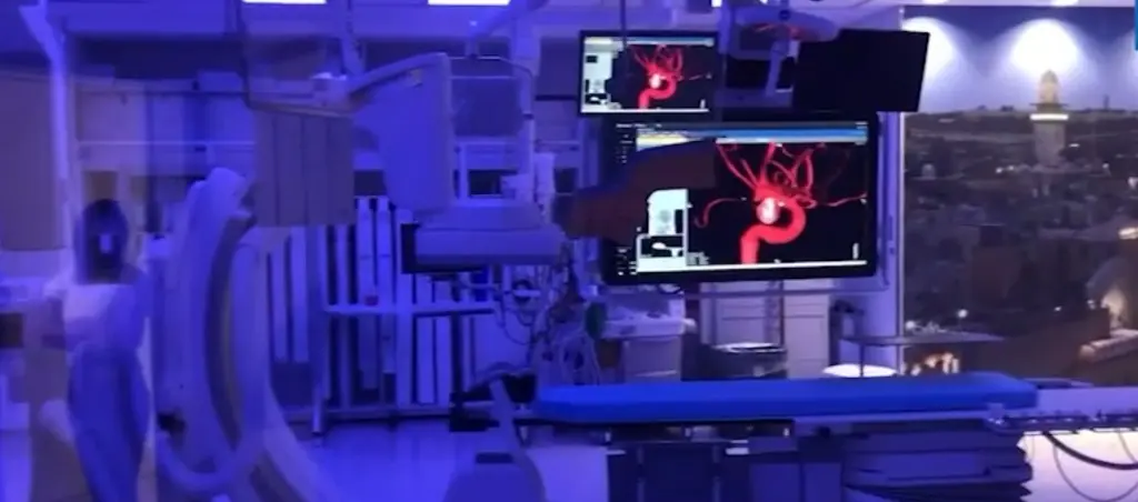 endovascneuro.jpg